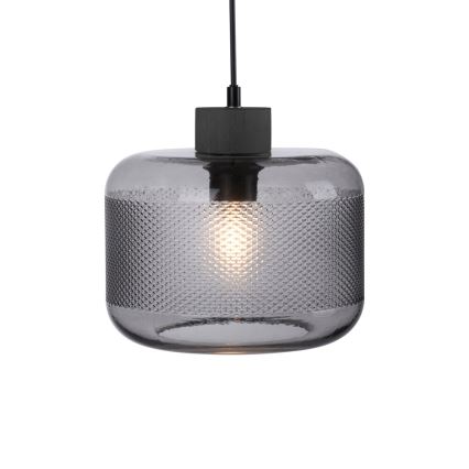 Paul Neuhaus 2005-25 - Luster na sajli BOLETUS 1xE27/10W/230V pr. 23,5 cm siva