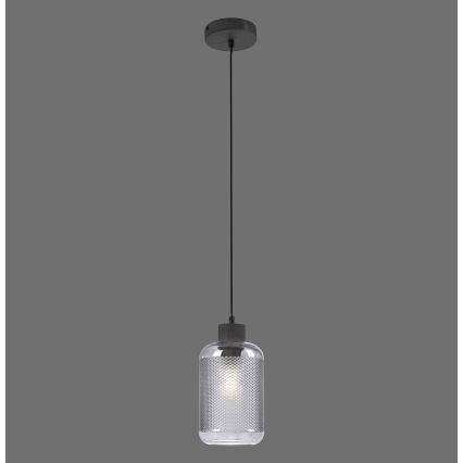 Paul Neuhaus 2006-25 - Luster na sajli BOLETUS 1xE27/10W/230V pr. 14 cm siva