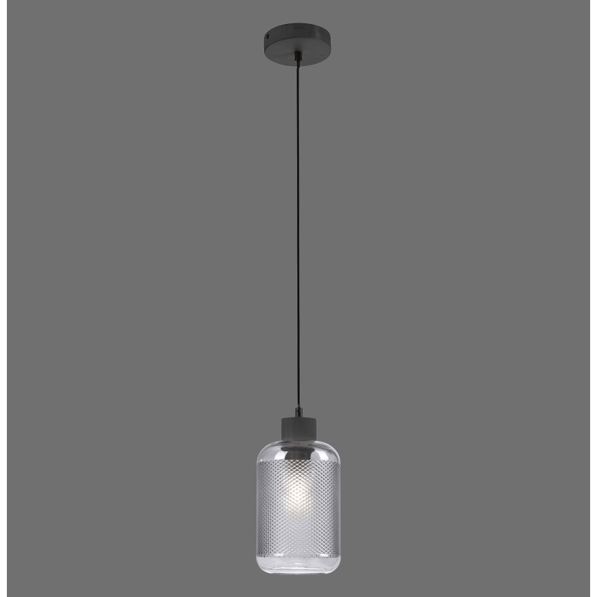 Paul Neuhaus 2006-25 - Luster na sajli BOLETUS 1xE27/10W/230V pr. 14 cm siva