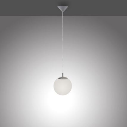 Paul Neuhaus 2072-55 - Luster na sajli BOLO 1xE27/60W/230V pr. 20 cm