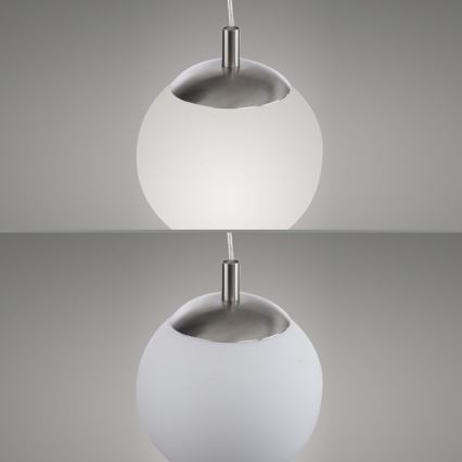 Paul Neuhaus 2072-55 - Luster na sajli BOLO 1xE27/60W/230V pr. 20 cm