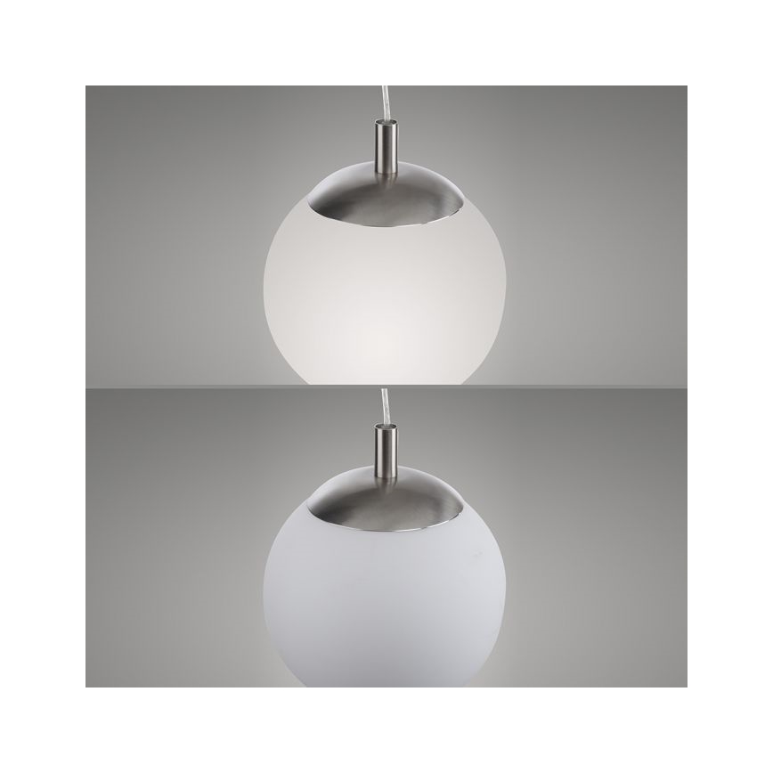 Paul Neuhaus 2072-55 - Luster na sajli BOLO 1xE27/60W/230V pr. 20 cm