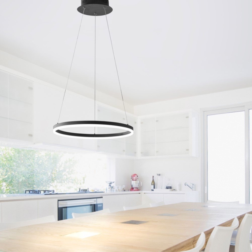 Paul Neuhaus 2381-13 - LED Prigušivi luster na sajli TITUS LED/28W/230V