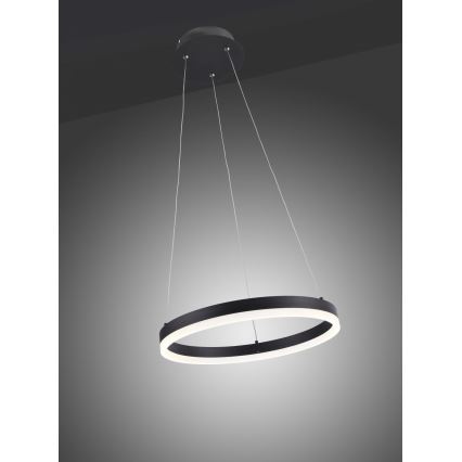 Paul Neuhaus 2381-13 - LED Prigušivi luster na sajli TITUS LED/28W/230V