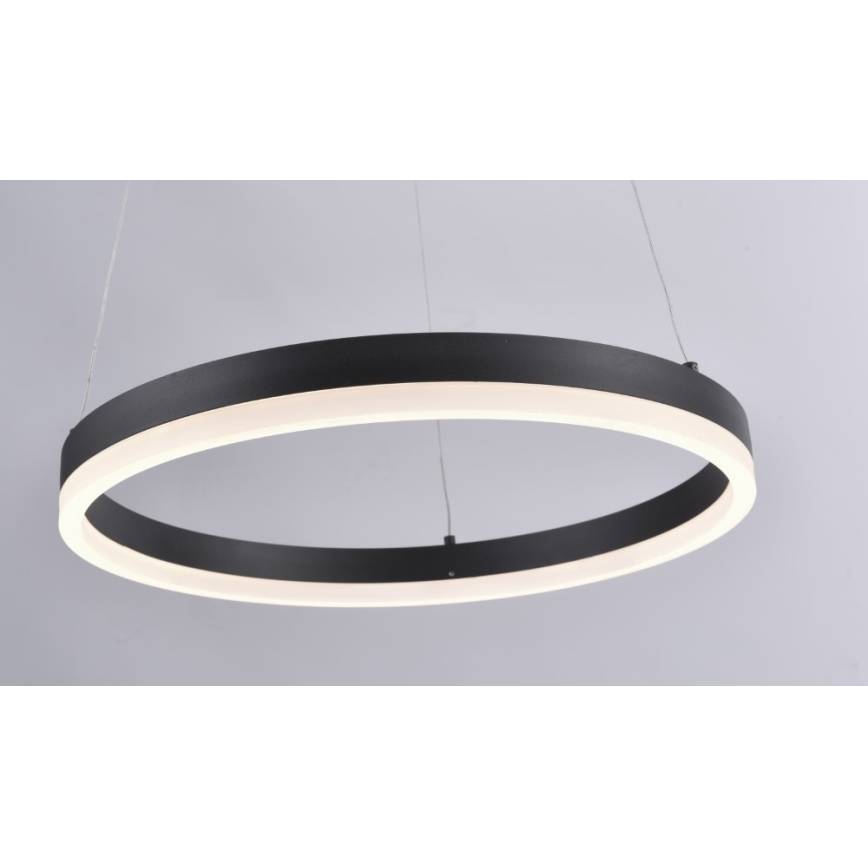 Paul Neuhaus 2381-13 - LED Prigušivi luster na sajli TITUS LED/28W/230V