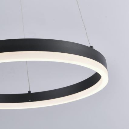 Paul Neuhaus 2381-13 - LED Prigušivi luster na sajli TITUS LED/28W/230V