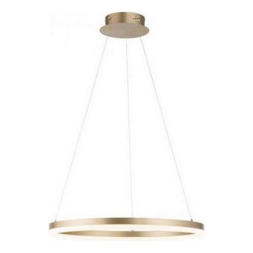 Paul Neuhaus 2382-60 - LED prigušivačka luster na užetu TITUS LED/38,5W/230V