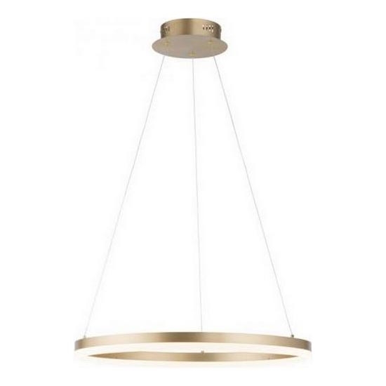 Paul Neuhaus 2382-60 - LED prigušivačka luster na užetu TITUS LED/38,5W/230V
