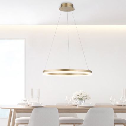 Paul Neuhaus 2382-60 - LED Prigušivi luster na sajli TITUS LED/38,5W/230V