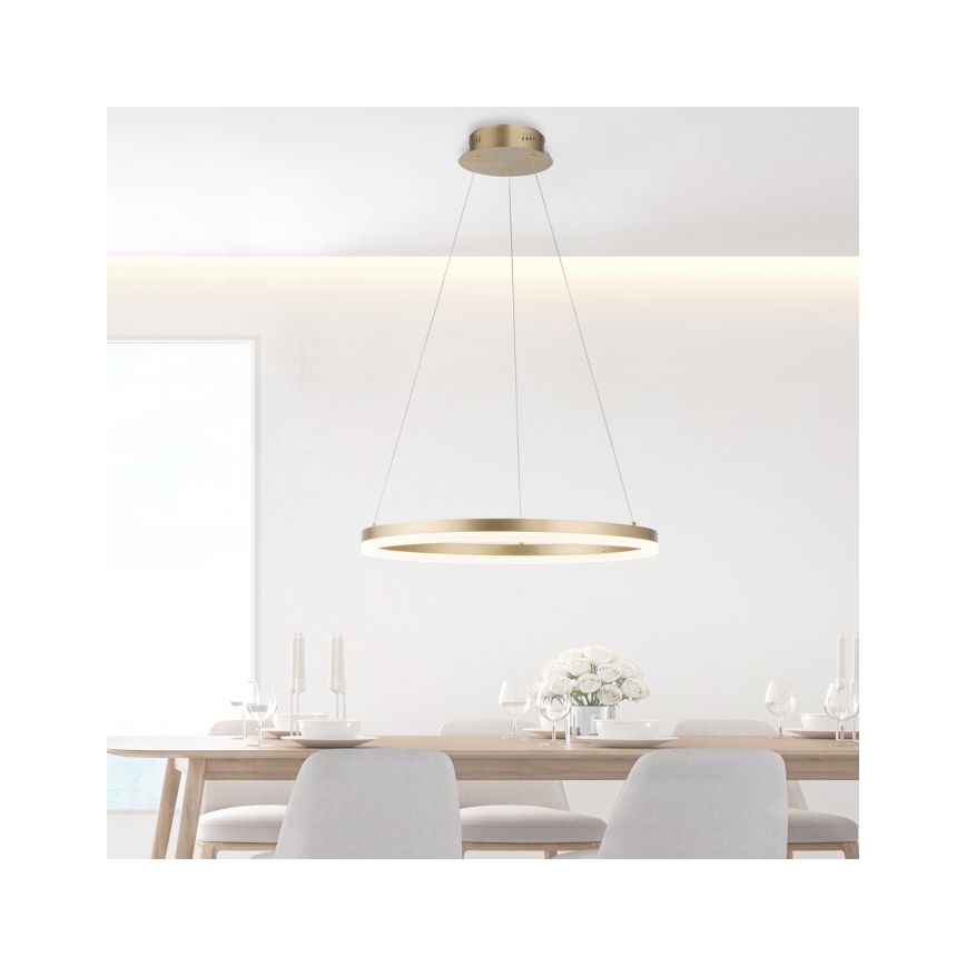 Paul Neuhaus 2382-60 - LED prigušivačka luster na užetu TITUS LED/38,5W/230V