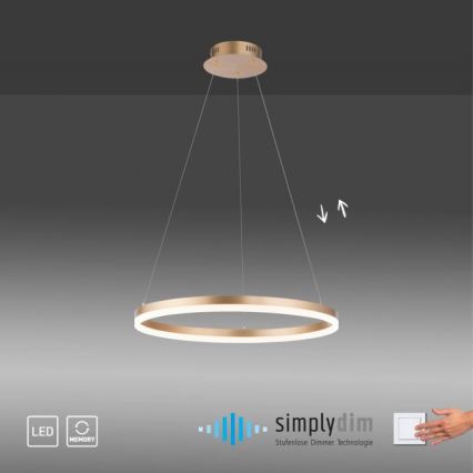 Paul Neuhaus 2382-60 - LED prigušivačka luster na užetu TITUS LED/38,5W/230V