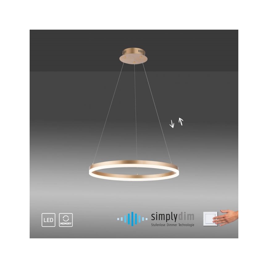 Paul Neuhaus 2382-60 - LED prigušivačka luster na užetu TITUS LED/38,5W/230V