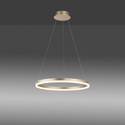 Paul Neuhaus 2382-60 - LED prigušivačka luster na užetu TITUS LED/38,5W/230V