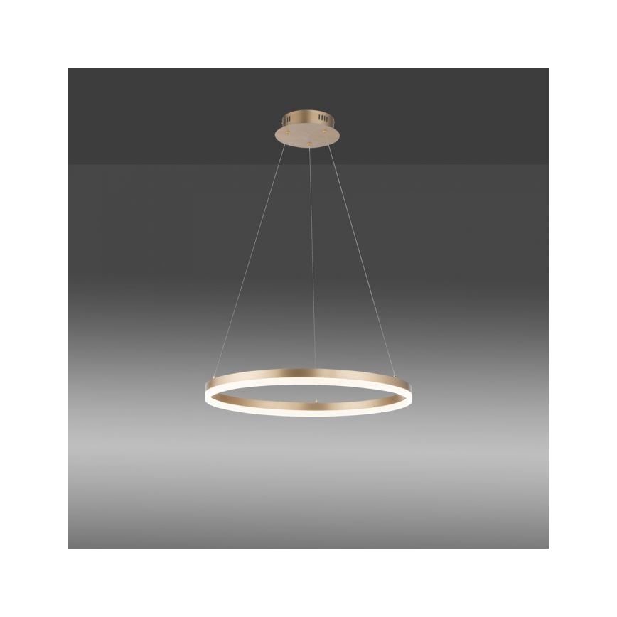 Paul Neuhaus 2382-60 - LED prigušivačka luster na užetu TITUS LED/38,5W/230V