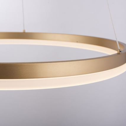 Paul Neuhaus 2382-60 - LED prigušivačka luster na užetu TITUS LED/38,5W/230V