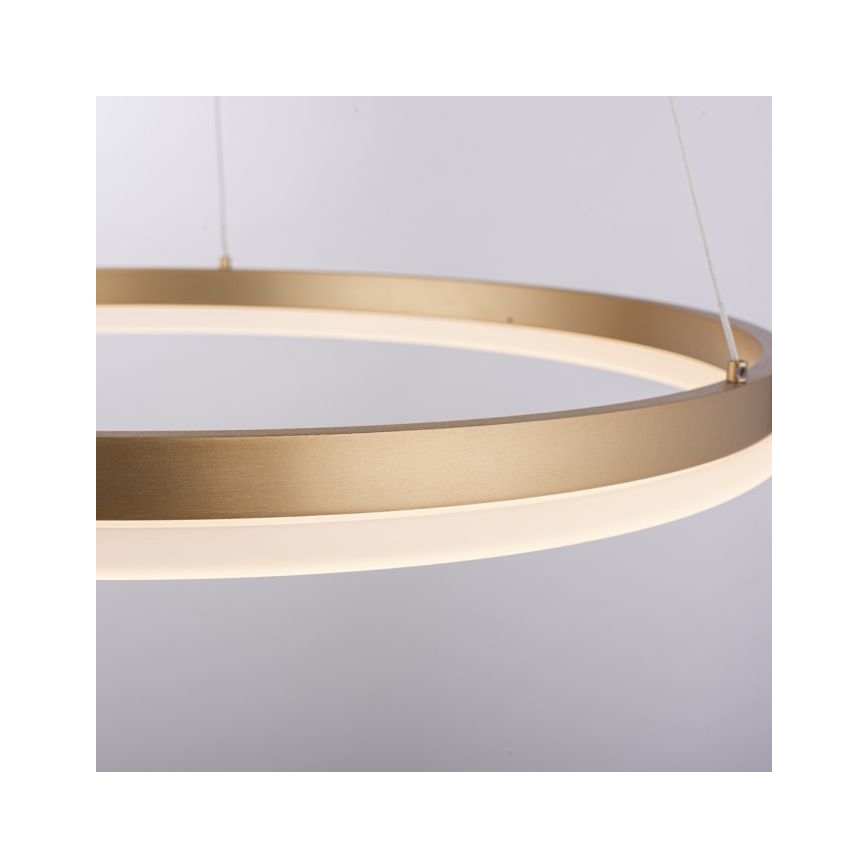 Paul Neuhaus 2382-60 - LED prigušivačka luster na užetu TITUS LED/38,5W/230V