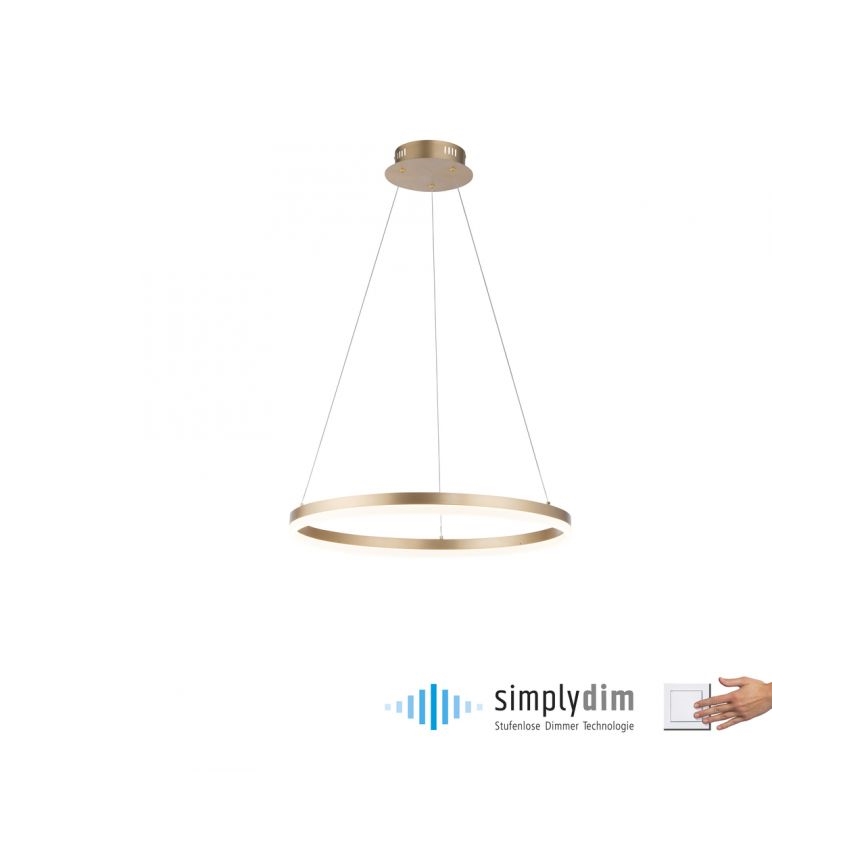 Paul Neuhaus 2382-60 - LED prigušivačka luster na užetu TITUS LED/38,5W/230V