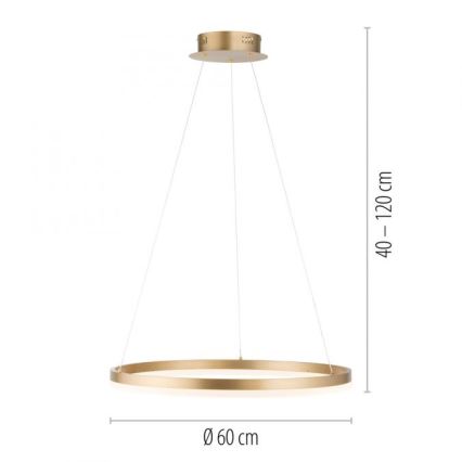 Paul Neuhaus 2382-60 - LED prigušivačka luster na užetu TITUS LED/38,5W/230V