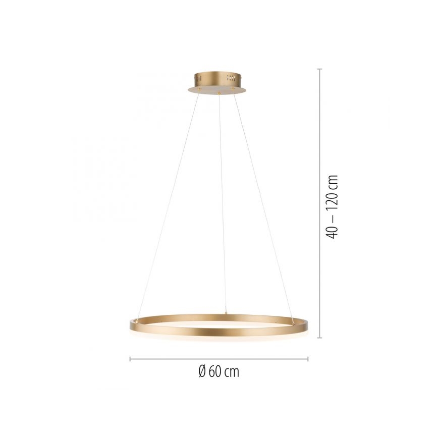 Paul Neuhaus 2382-60 - LED prigušivačka luster na užetu TITUS LED/38,5W/230V