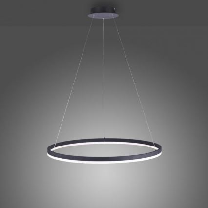 Paul Neuhaus 2383-13 - LED Prigušivi luster na sajli TITUS LED/50W/230V