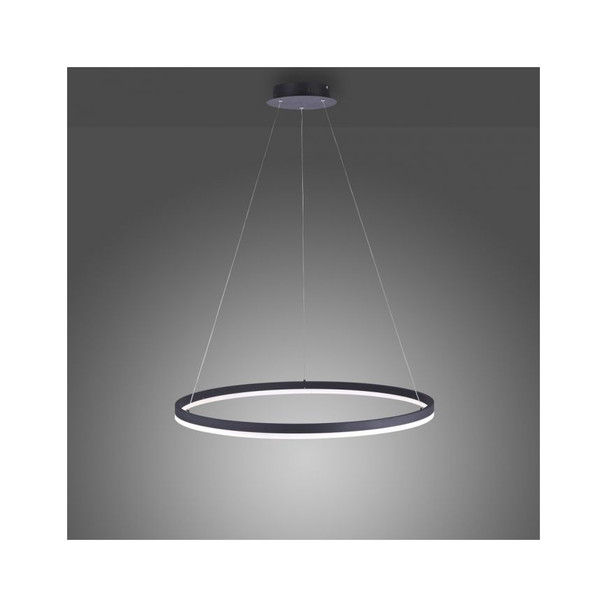 Paul Neuhaus 2383-13 - LED Prigušivi luster na sajli TITUS LED/50W/230V