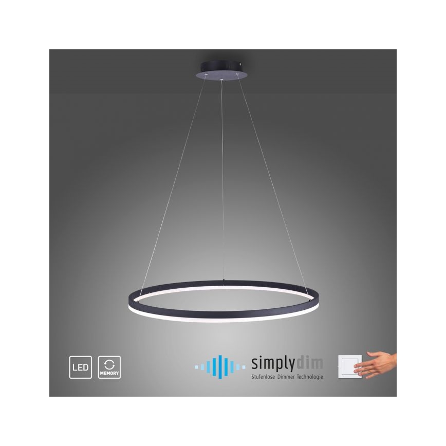 Paul Neuhaus 2383-13 - LED Prigušivi luster na sajli TITUS LED/50W/230V