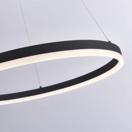 Paul Neuhaus 2383-13 - LED Prigušivi luster na sajli TITUS LED/50W/230V