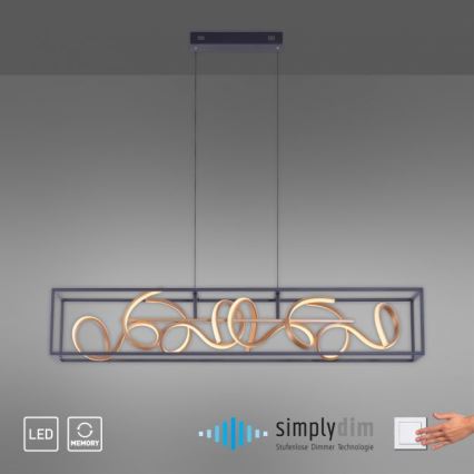 Paul Neuhaus 2416-18 - LED Prigušivi luster na sajli SELINA 4xLED/10,2W/230V