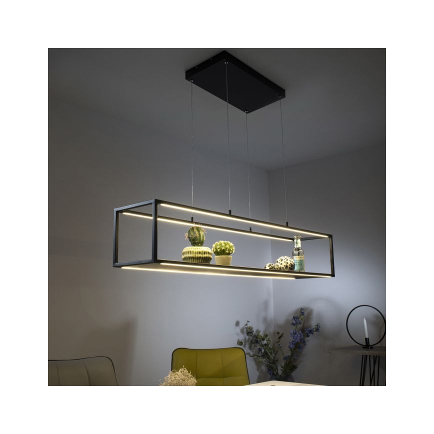 Paul Neuhaus 2441-18 - LED Prigušivi luster na sajli CONTURA 4xLED/8W/230V