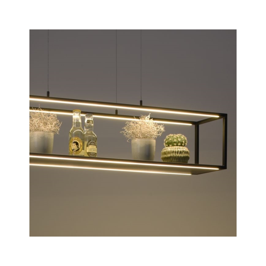 Paul Neuhaus 2441-18 - LED Prigušivi luster na sajli CONTURA 4xLED/8W/230V