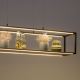 Paul Neuhaus 2441-18 - LED Prigušivi luster na sajli CONTURA 4xLED/8W/230V