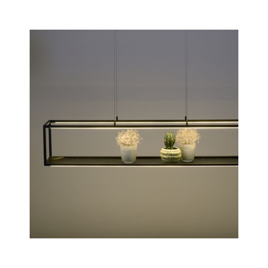 Paul Neuhaus 2441-18 - LED Prigušivi luster na sajli CONTURA 4xLED/8W/230V