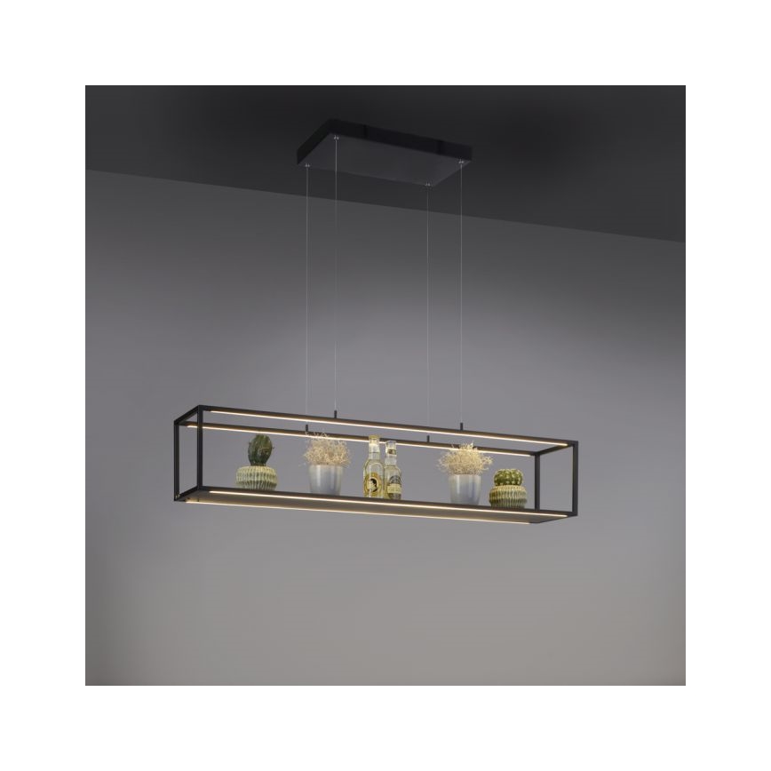 Paul Neuhaus 2441-18 - LED Prigušivi luster na sajli CONTURA 4xLED/8W/230V