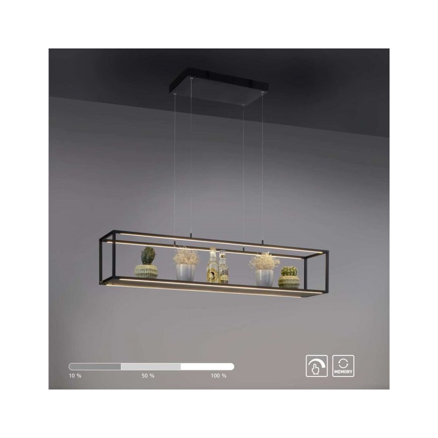 Paul Neuhaus 2441-18 - LED Prigušivi luster na sajli CONTURA 4xLED/8W/230V