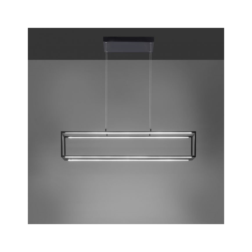 Paul Neuhaus 2441-18 - LED Prigušivi luster na sajli CONTURA 4xLED/8W/230V