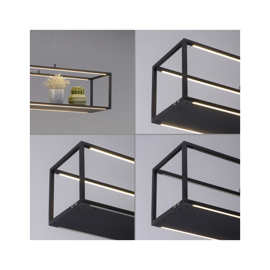 Paul Neuhaus 2441-18 - LED Prigušivi luster na sajli CONTURA 4xLED/8W/230V