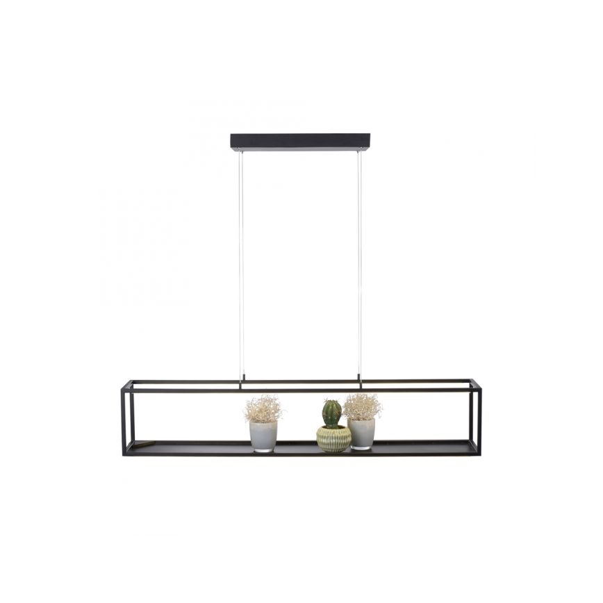 Paul Neuhaus 2441-18 - LED Prigušivi luster na sajli CONTURA 4xLED/8W/230V