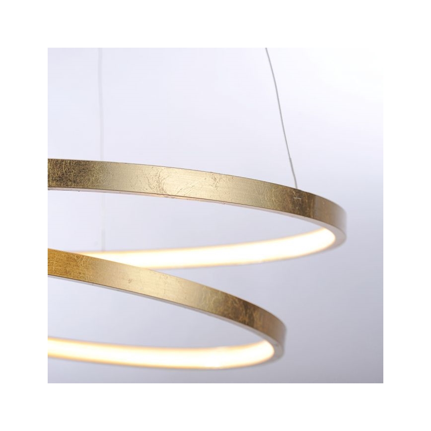 Paul Neuhaus 2472-12 - LED Prigušivi luster na sajli ROMAN LED/30W/230V zlatna