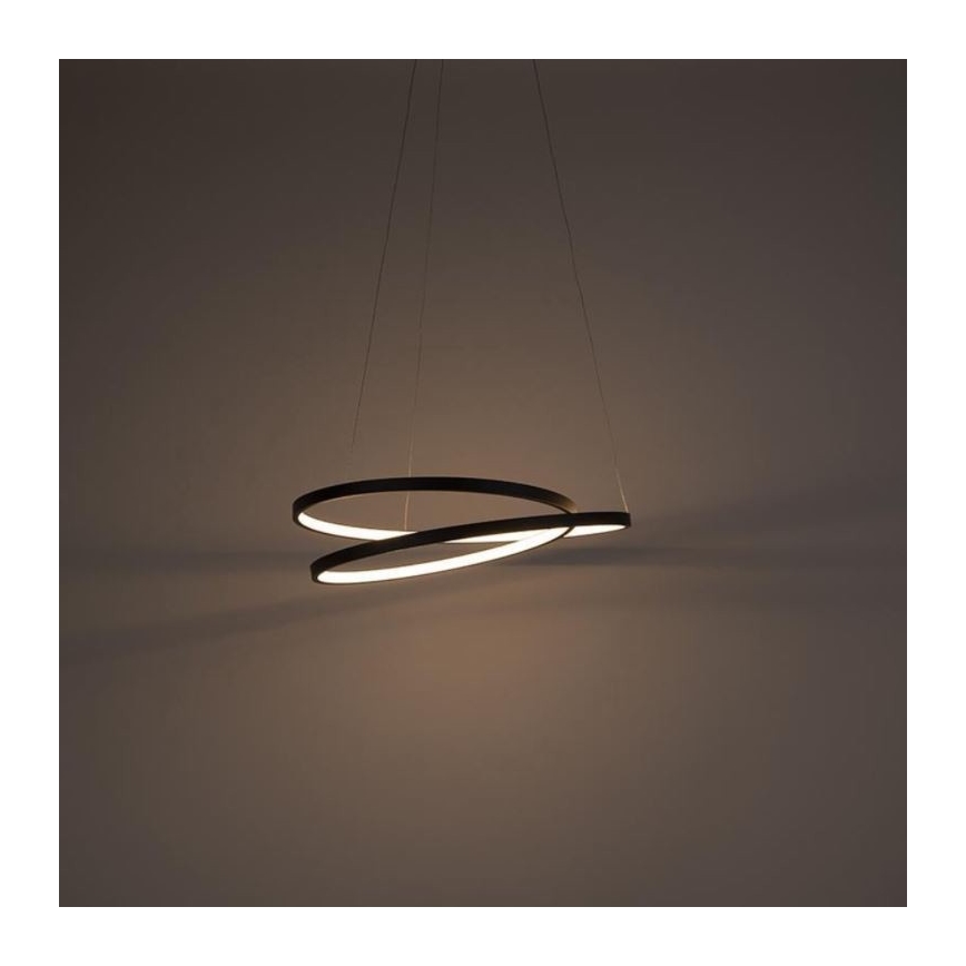 Paul Neuhaus 2472-18 - LED Prigušivi luster na sajli ROMAN LED/30W/230V crna
