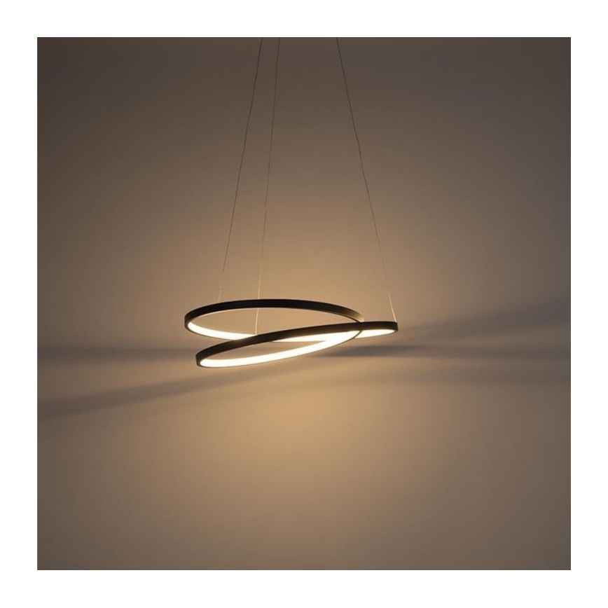 Paul Neuhaus 2472-18 - LED Prigušivi luster na sajli ROMAN LED/30W/230V crna