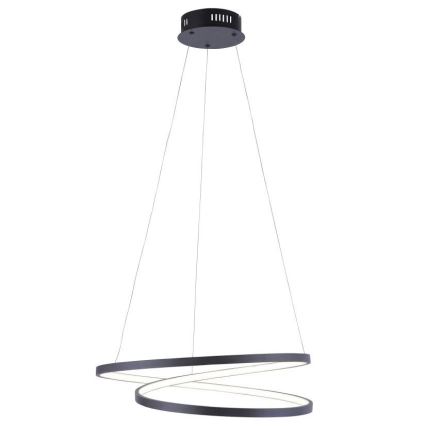 Paul Neuhaus 2472-18 - LED Prigušivi luster na sajli ROMAN LED/30W/230V crna