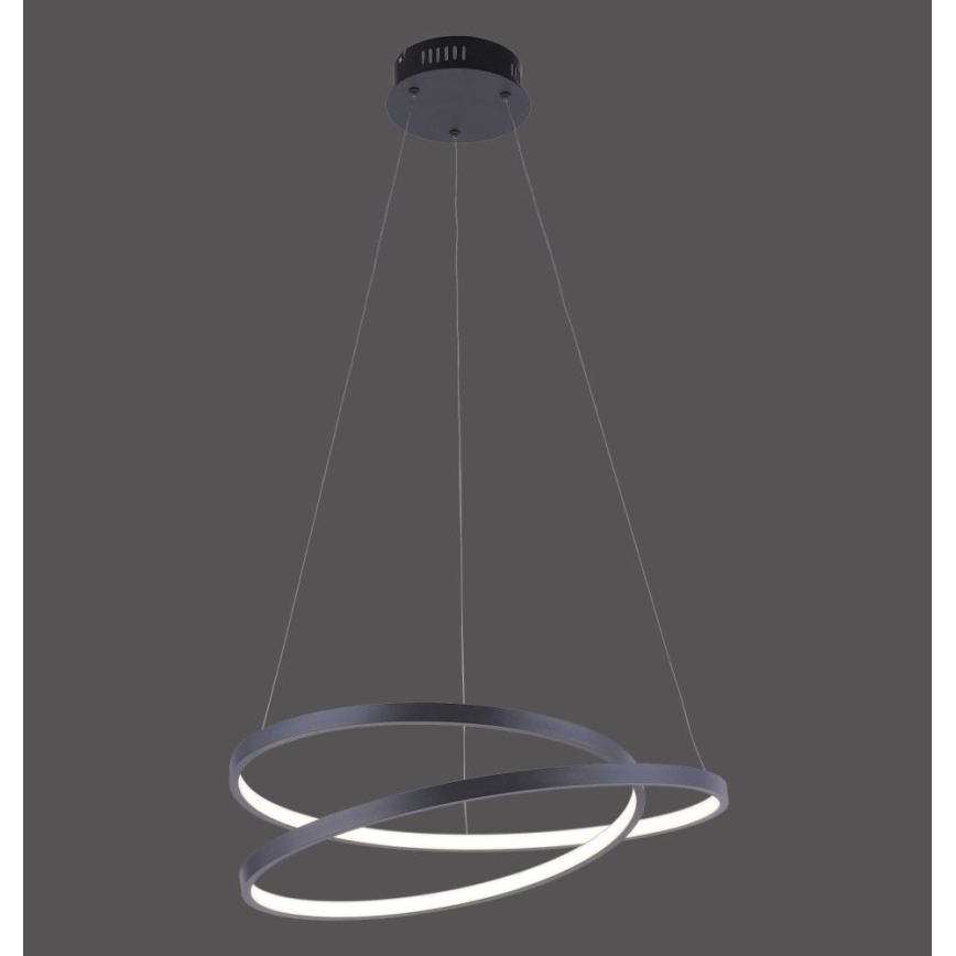 Paul Neuhaus 2472-18 - LED Prigušivi luster na sajli ROMAN LED/30W/230V crna
