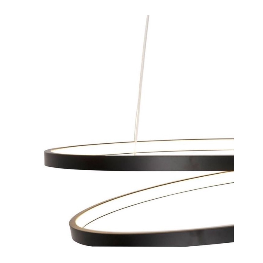 Paul Neuhaus 2472-18 - LED Prigušivi luster na sajli ROMAN LED/30W/230V crna