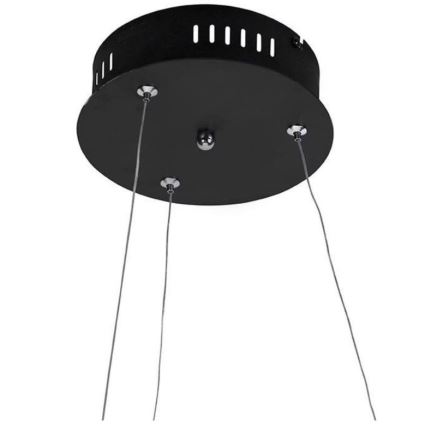 Paul Neuhaus 2472-18 - LED Prigušivi luster na sajli ROMAN LED/30W/230V crna