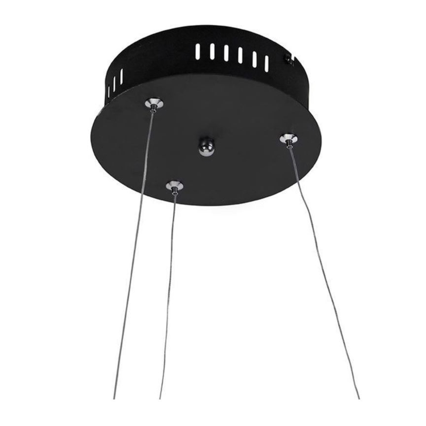 Paul Neuhaus 2472-18 - LED Prigušivi luster na sajli ROMAN LED/30W/230V crna