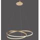 Paul Neuhaus 2474-12 - LED Prigušivi luster na sajli ROMAN LED/40W/230V zlatna
