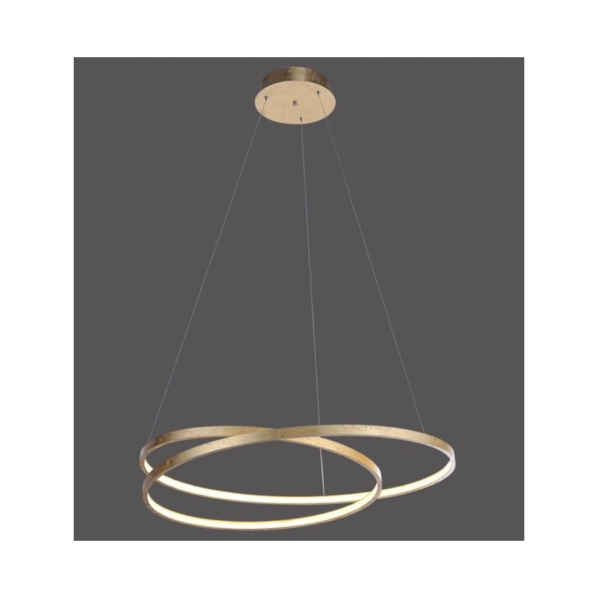 Paul Neuhaus 2474-12 - LED Prigušivi luster na sajli ROMAN LED/40W/230V zlatna