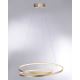 Paul Neuhaus 2474-12 - LED Prigušivi luster na sajli ROMAN LED/40W/230V zlatna