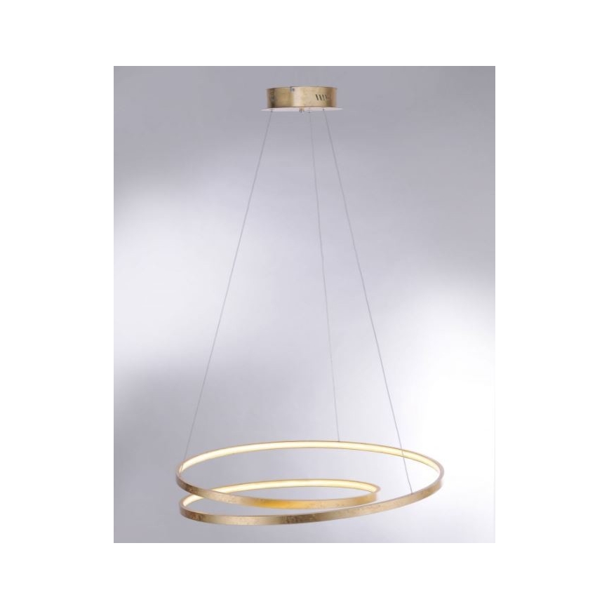 Paul Neuhaus 2474-12 - LED Prigušivi luster na sajli ROMAN LED/40W/230V zlatna