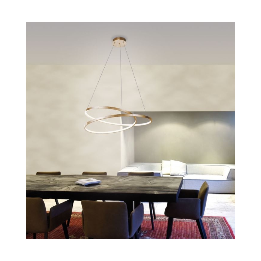 Paul Neuhaus 2474-12 - LED Prigušivi luster na sajli ROMAN LED/40W/230V zlatna